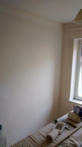 IMG_20150318_124424077