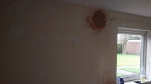 IMG_20150323_140800141