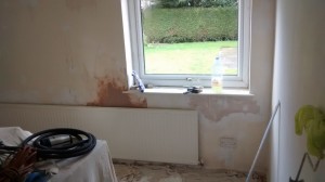 IMG_20150323_140839706