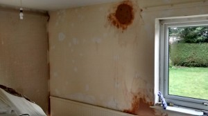 IMG_20150323_140901824_HDR