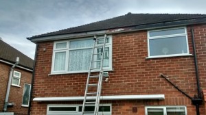 IMG_20150618_085250039_HDR