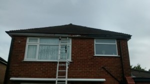 IMG_20150618_085406977